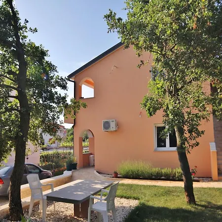 Sandra 439