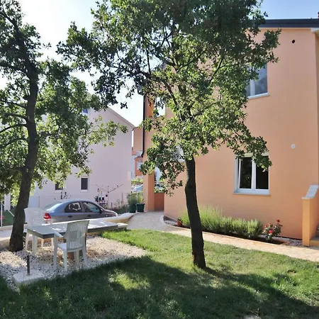 Sandra 439