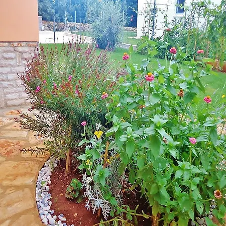 Sandra 439 Apartman *