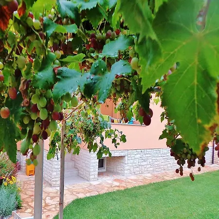 Appartement Sandra 439